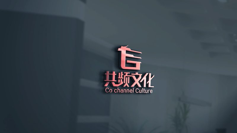 产品宣传片制作流程：揭秘高效传播的奥秘