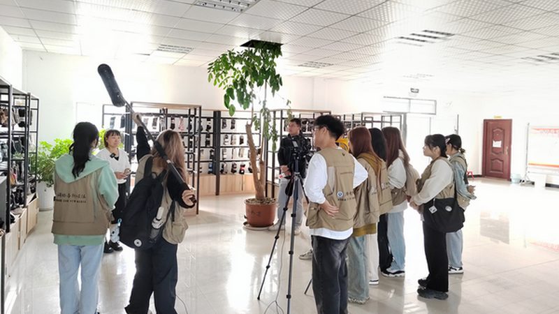 品牌策划合同价格：揭秘背后的考量因素