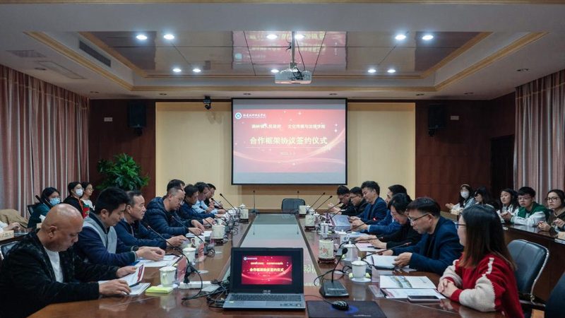 品牌设计规格参数解析：解码优质设计的密码