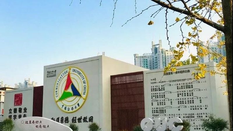 平台型公司主要提供影视制作技术支持，如后期制作、特效制作等。其特点包括：