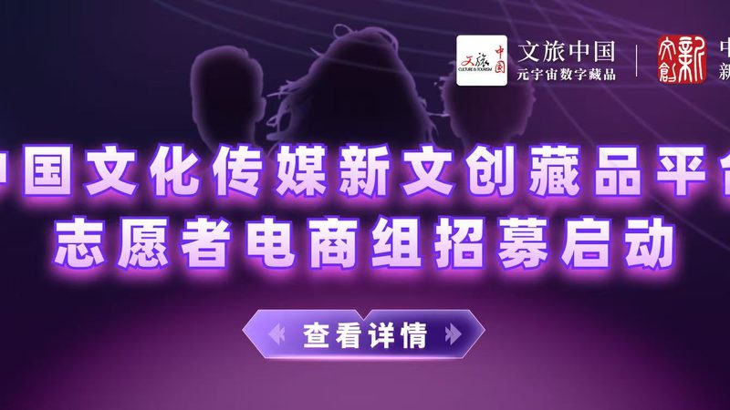文化传媒公司：新手创业的机遇与挑战**
